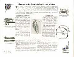 1917 Hawthorne Cat pg2.jpg