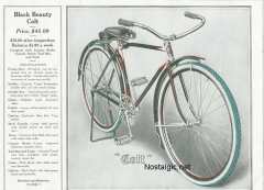 1919 black beauty/Black Beauty pg 10.jpg