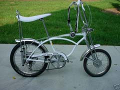 carrera 29er