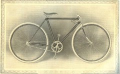 cat - 1899 Featherstone 5.JPG