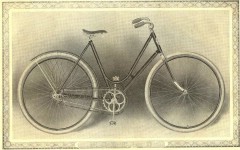 cat - 1899 Featherstone 8.JPG