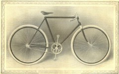 cat - 1899 Featherstone 9.JPG