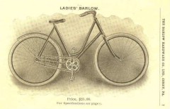 cat - 1901 Barlow 4.JPG