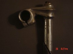 CWC deco stem.jpg