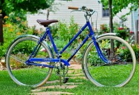 robin hood 3 speed bicycle