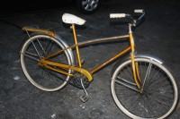 Roadmaster Amelite Cobra 1_resize