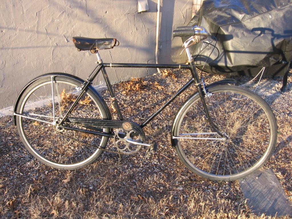 Schwinn New World 1