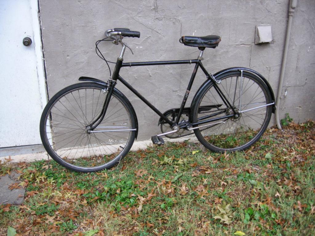 Schwinn New World 2