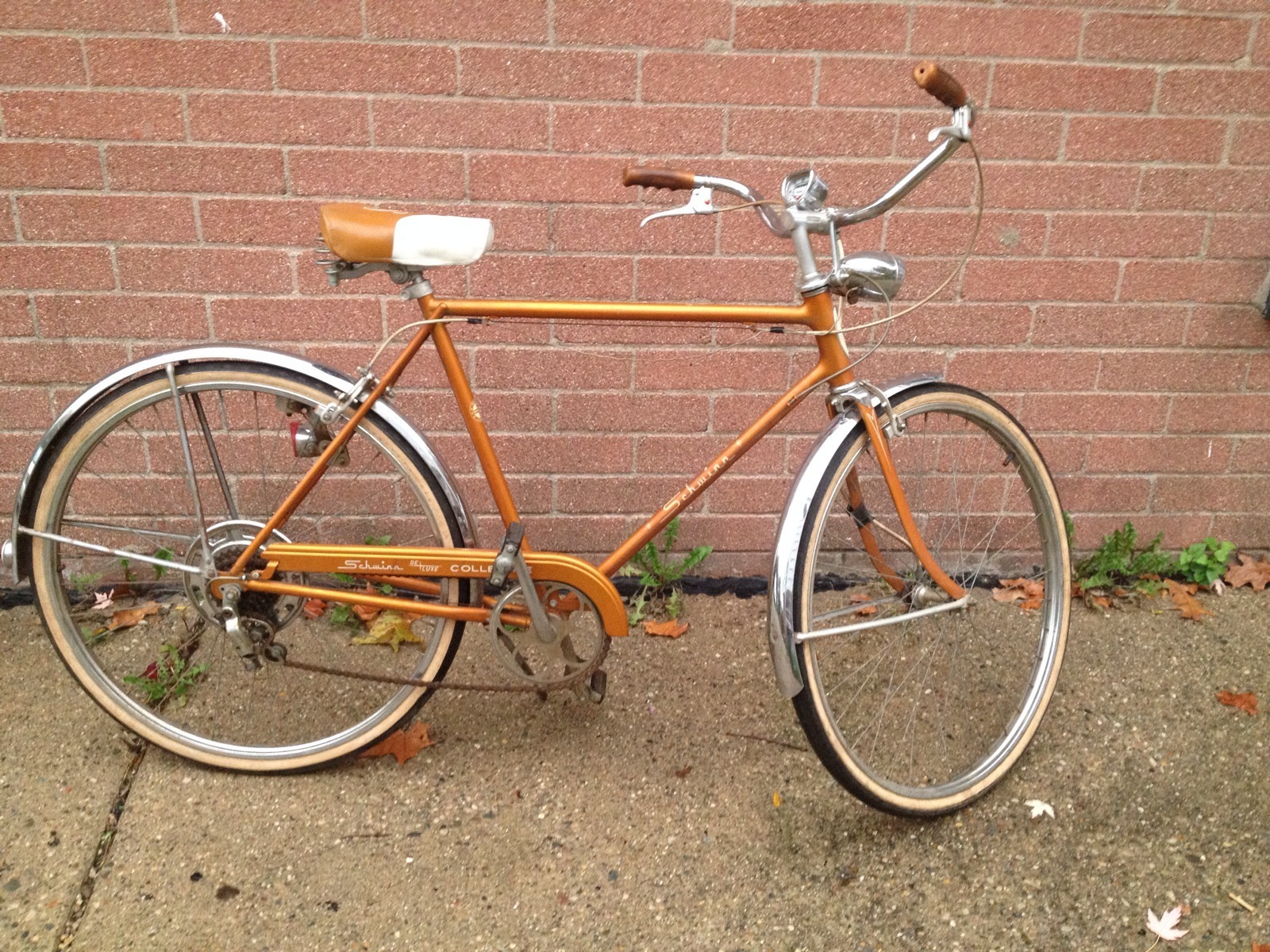 1968 Schwinn Collegiate 5-Speed - Dave 